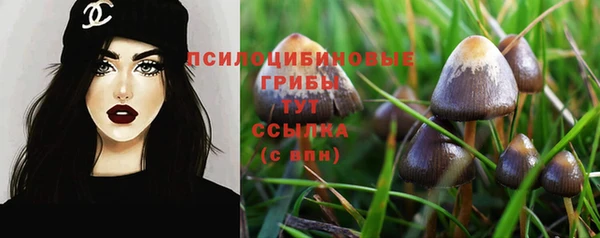 ПСИЛОЦИБИНОВЫЕ ГРИБЫ Абаза