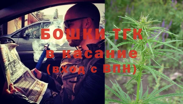 ПСИЛОЦИБИНОВЫЕ ГРИБЫ Абаза