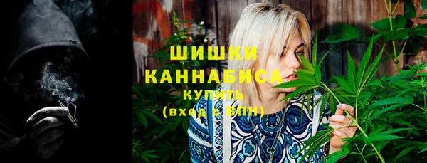 ПСИЛОЦИБИНОВЫЕ ГРИБЫ Абаза