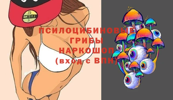 молекула духа Абинск