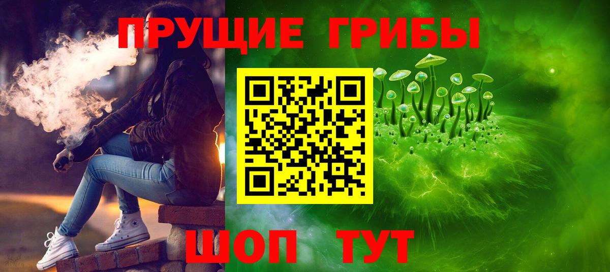 Тутаев  Псилоцибиновые грибы Psilocybe  Вход с VPN 