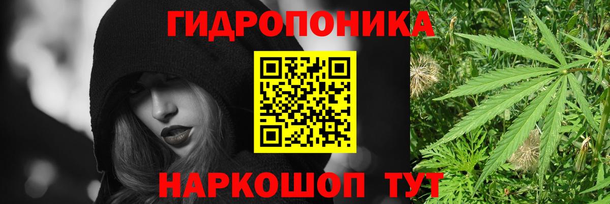 Тутаев  МАРИХУАНА Amnesia  Вход с VPN  Бошки марихуана Amnesia  Канабис план 
